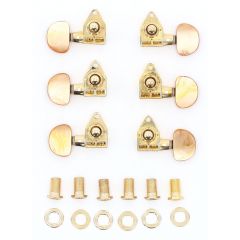 Takamine MECANIQUES FOLK JEU GOLD BOUT.ECAILLE MFJ158GEC - Vue 1